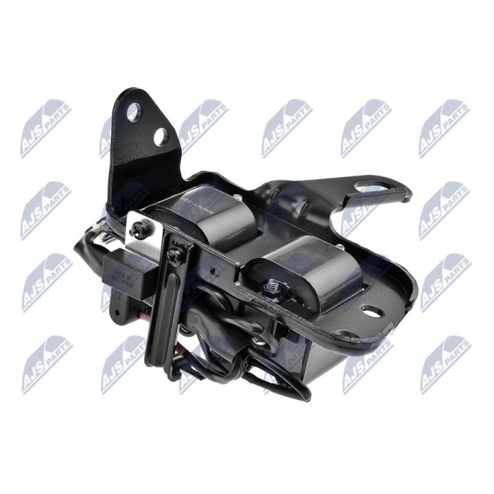 Ritė, uždegimas NTY ECZ-HY-520