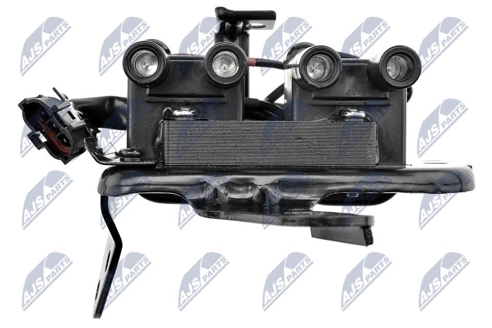 Ritė, uždegimas NTY ECZ-HY-520