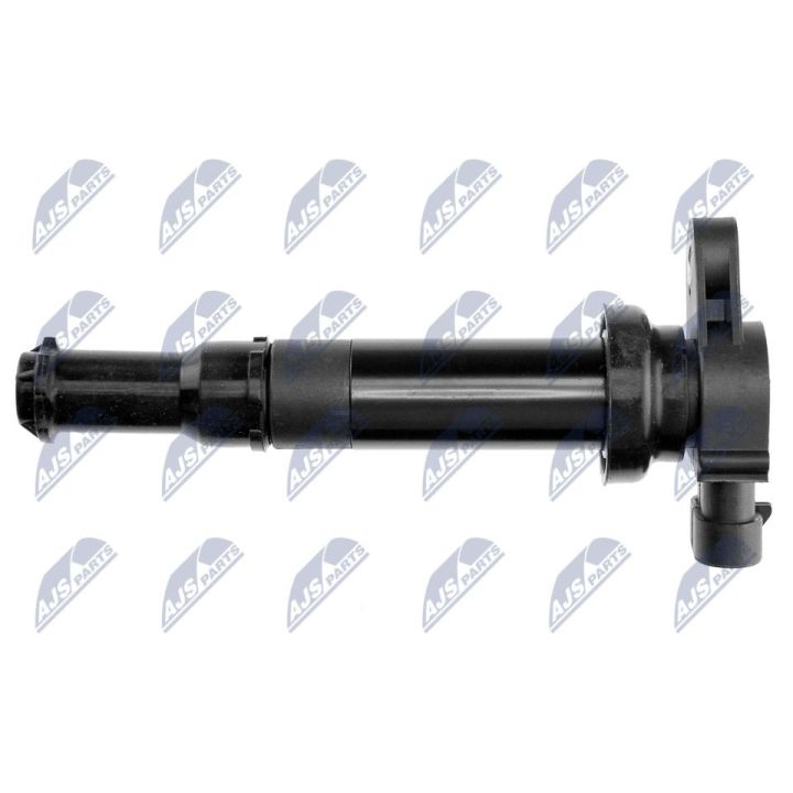 Ritė, uždegimas NTY ECZ-HY-521