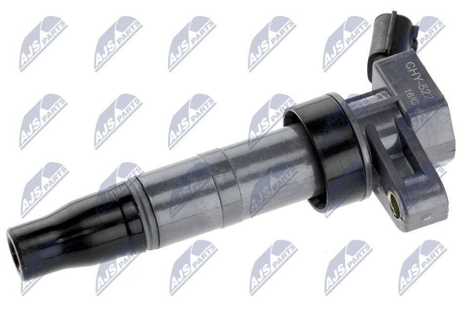 Ritė, uždegimas NTY ECZ-HY-522