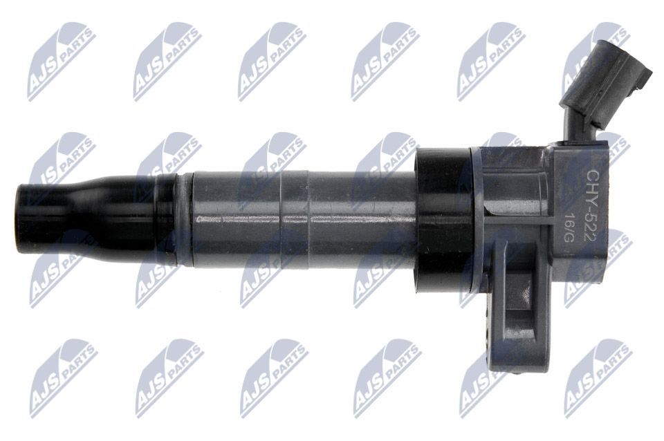 Ritė, uždegimas NTY ECZ-HY-522