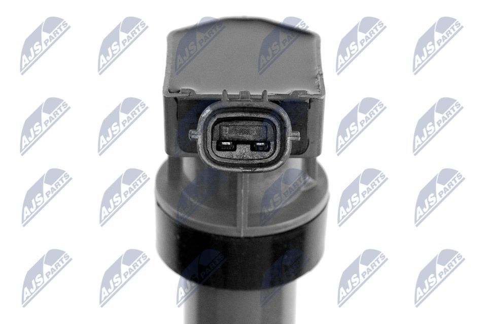 Ritė, uždegimas NTY ECZ-HY-522