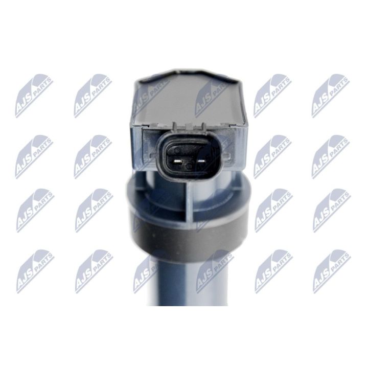 Ritė, uždegimas NTY ECZ-HY-527