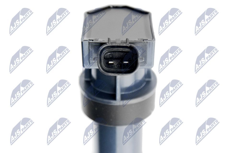 Ritė, uždegimas NTY ECZ-HY-527