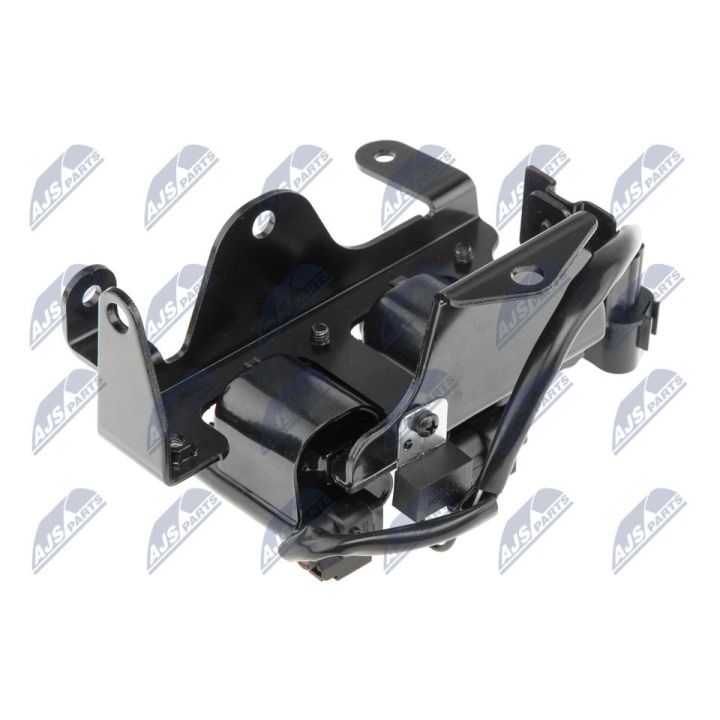 Ritė, uždegimas NTY ECZ-HY-529