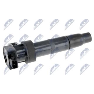 Ritė, uždegimas NTY ECZ-KA-300