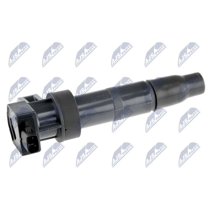 Ritė, uždegimas NTY ECZ-KA-300