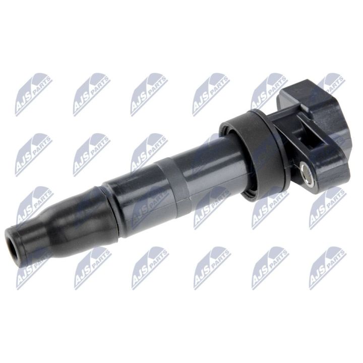 Ritė, uždegimas NTY ECZ-KA-300