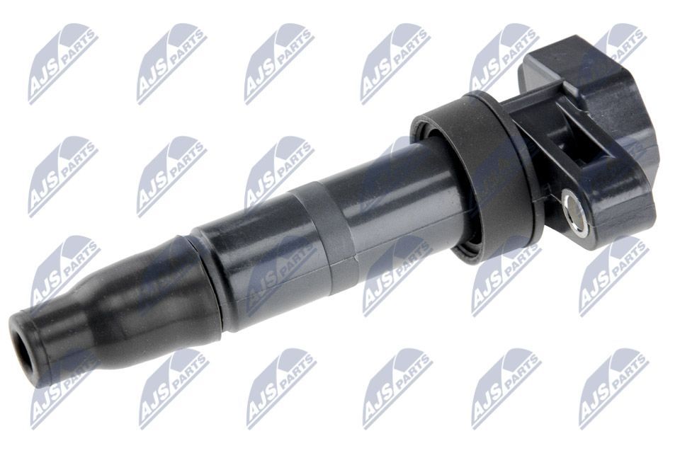 Ritė, uždegimas NTY ECZ-KA-300