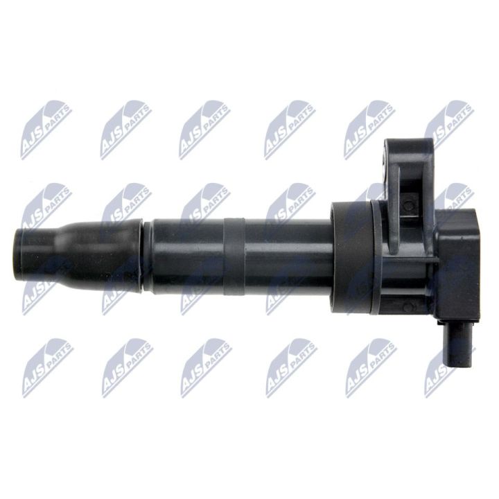 Ritė, uždegimas NTY ECZ-KA-300