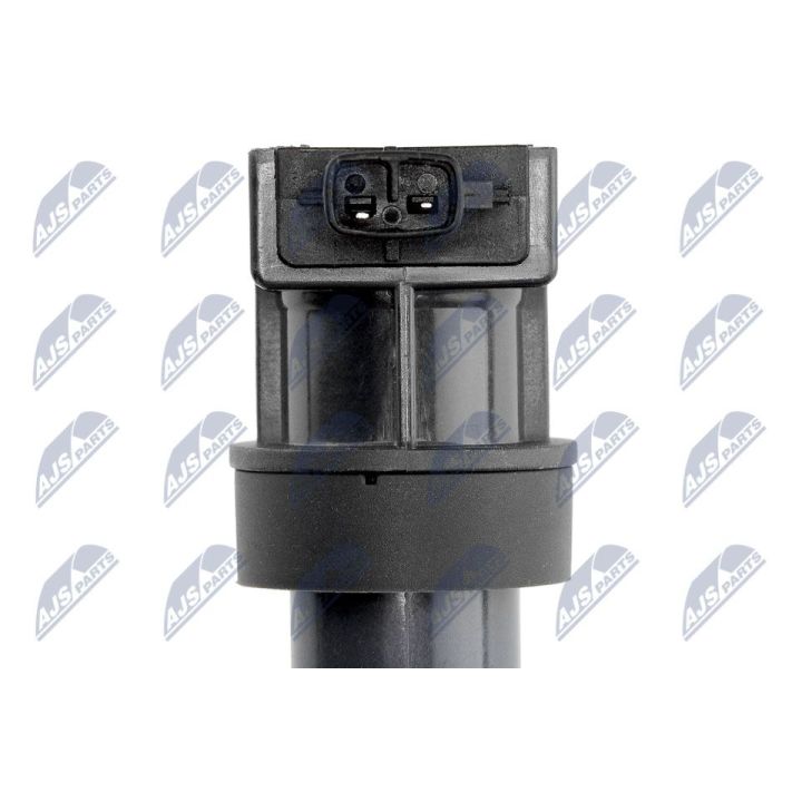 Ritė, uždegimas NTY ECZ-KA-300