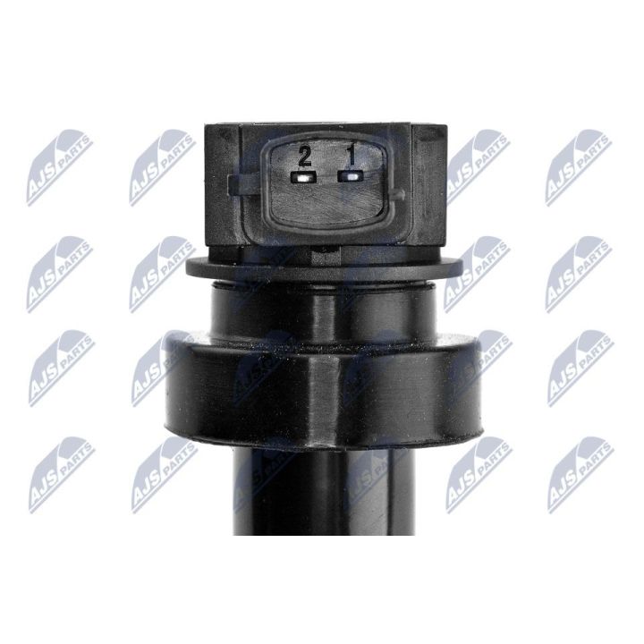 Ritė, uždegimas NTY ECZ-KA-301