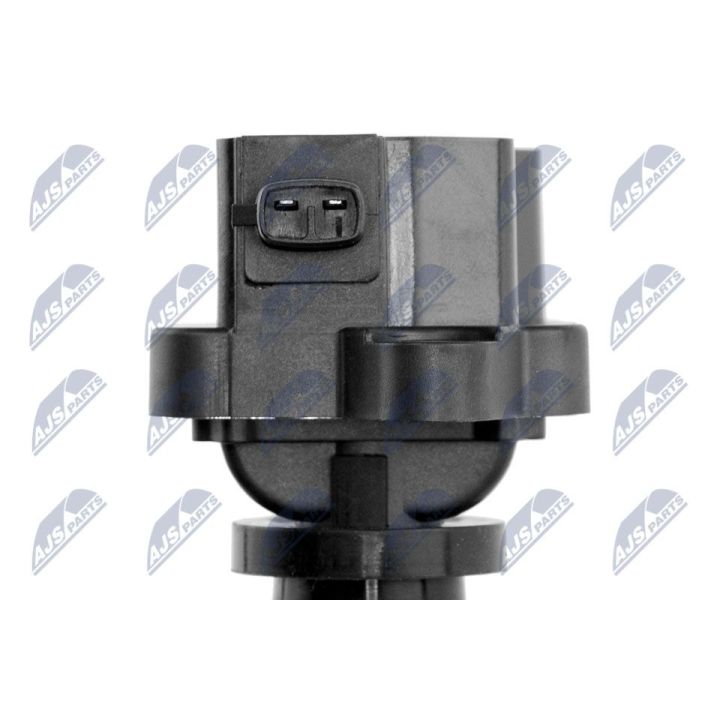 Ritė, uždegimas NTY ECZ-KA-303