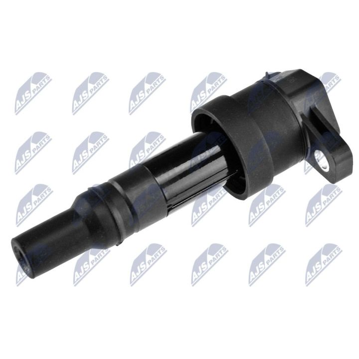 Ritė, uždegimas NTY ECZ-KA-306