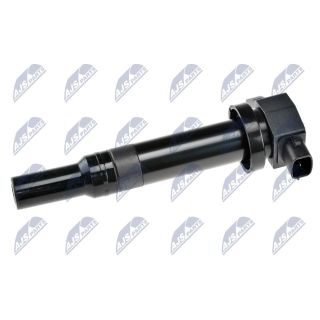 Ritė, uždegimas NTY ECZ-KA-307