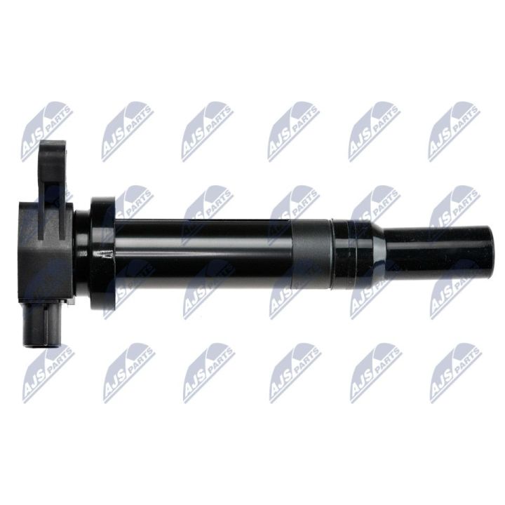 Ritė, uždegimas NTY ECZ-KA-307