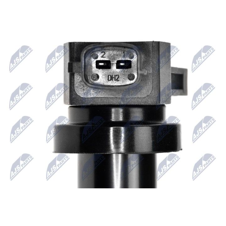 Ritė, uždegimas NTY ECZ-KA-307