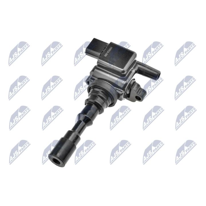 Ritė, uždegimas NTY ECZ-KA-308