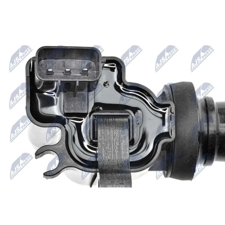 Ritė, uždegimas NTY ECZ-KA-308