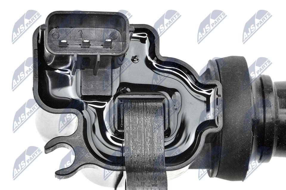 Ritė, uždegimas NTY ECZ-KA-308