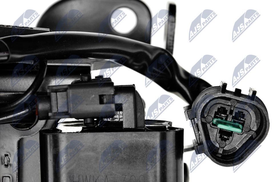 Ritė, uždegimas NTY ECZ-KA-309