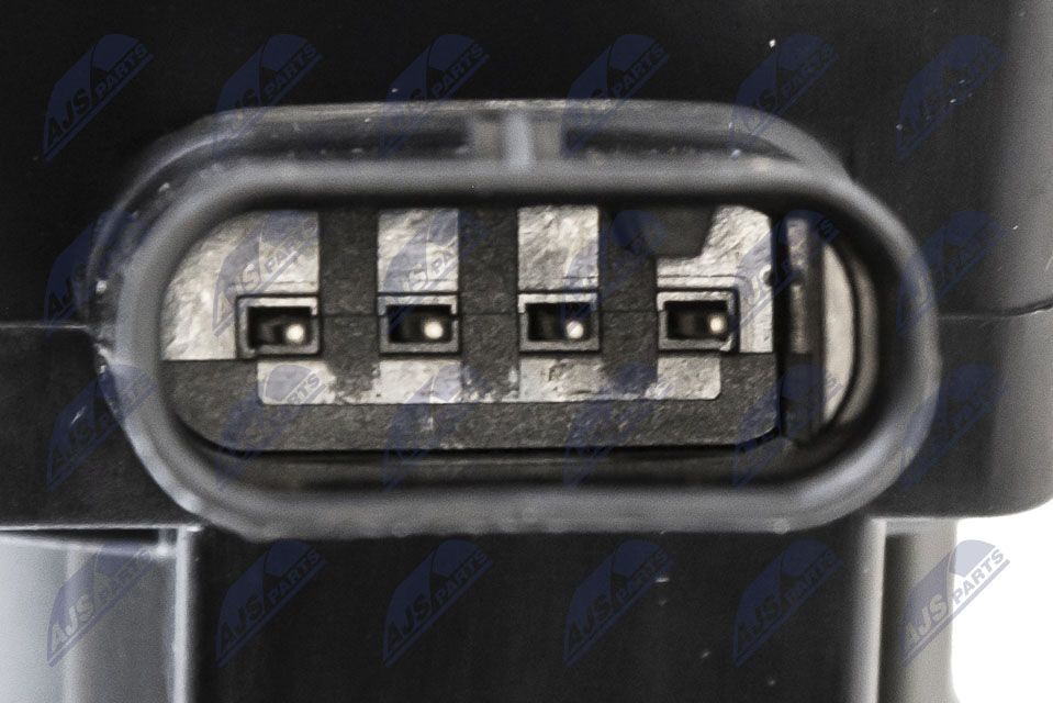 Ritė, uždegimas NTY ECZ-KA-315