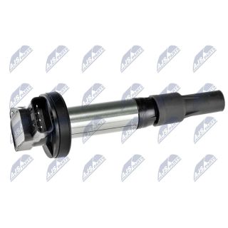 Ritė, uždegimas NTY ECZ-LR-000