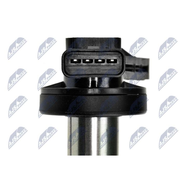 Ritė, uždegimas NTY ECZ-LR-000