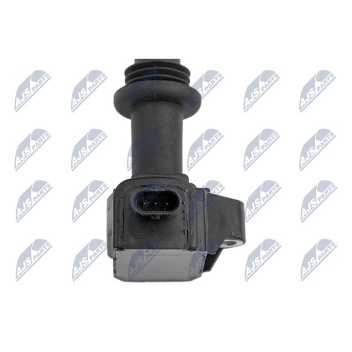 Ritė, uždegimas NTY ECZ-LR-001