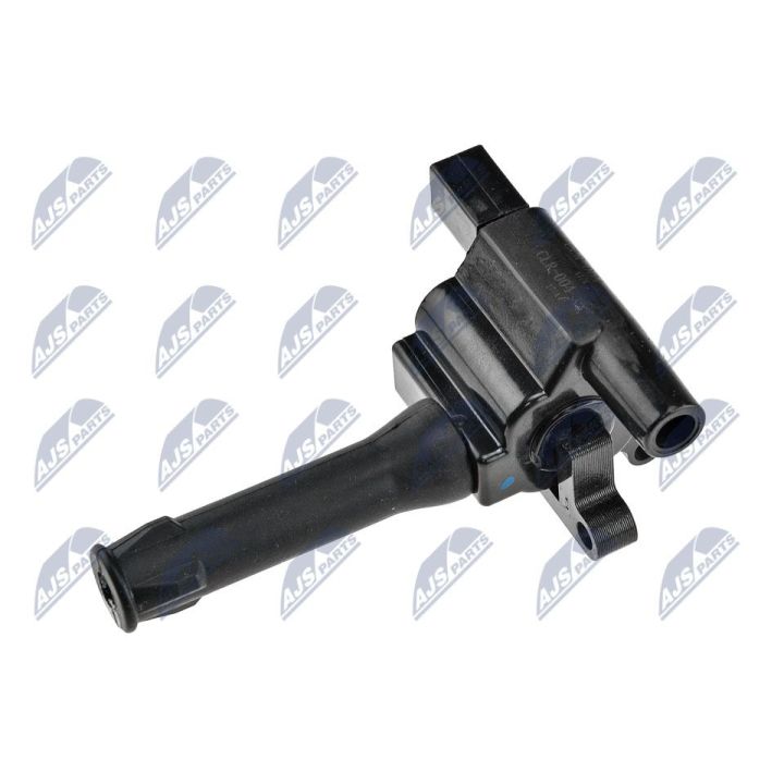 Ritė, uždegimas NTY ECZ-LR-004