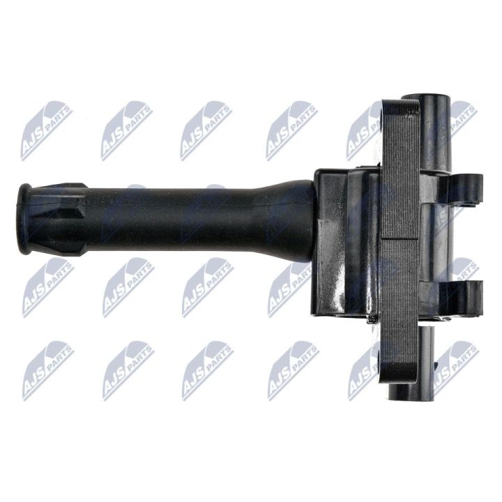 Ritė, uždegimas NTY ECZ-LR-004