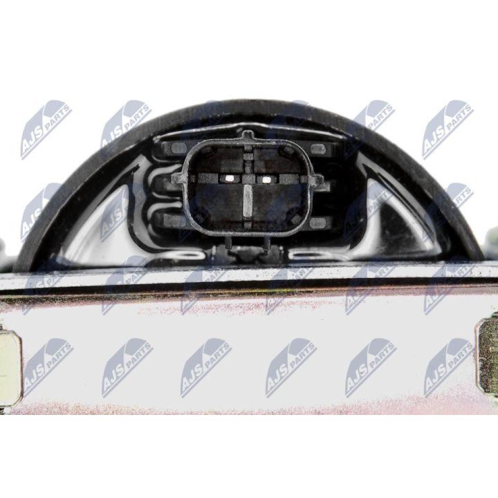 Ritė, uždegimas NTY ECZ-LR-005