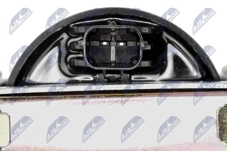 Ritė, uždegimas NTY ECZ-LR-005