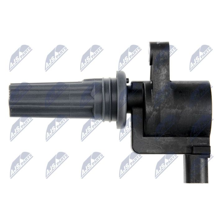 Ritė, uždegimas NTY ECZ-LR-008