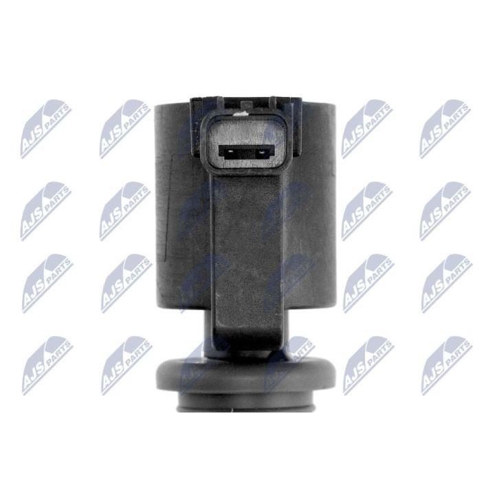 Ritė, uždegimas NTY ECZ-LR-008