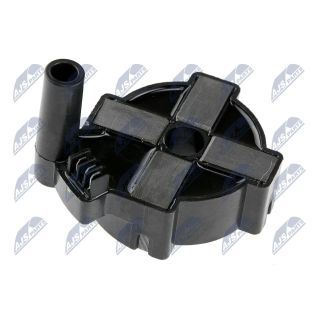 Ritė, uždegimas NTY ECZ-MS-000