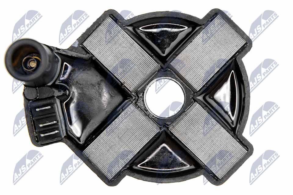 Ritė, uždegimas NTY ECZ-MS-000