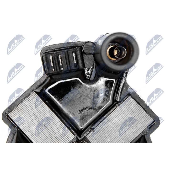 Ritė, uždegimas NTY ECZ-MS-000