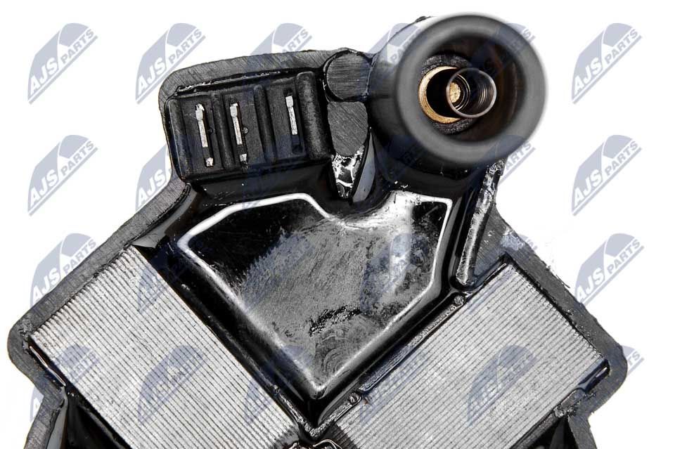 Ritė, uždegimas NTY ECZ-MS-000