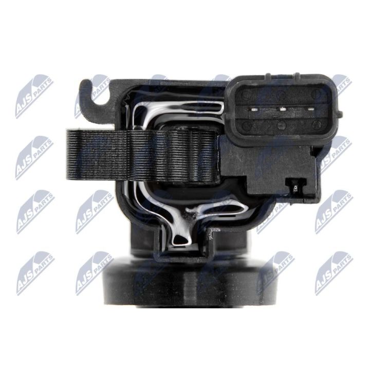 Ritė, uždegimas NTY ECZ-MS-006