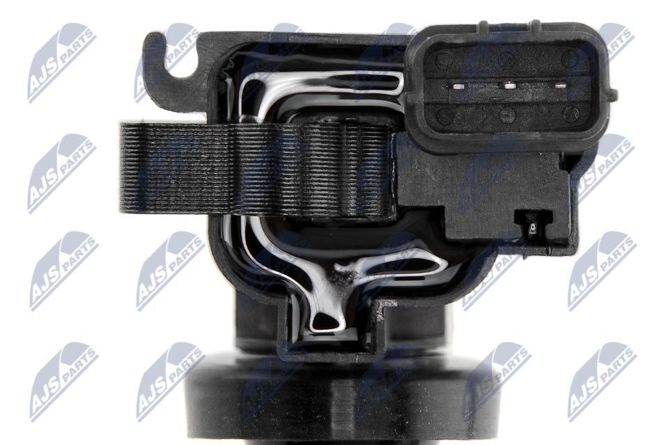 Ritė, uždegimas NTY ECZ-MS-006