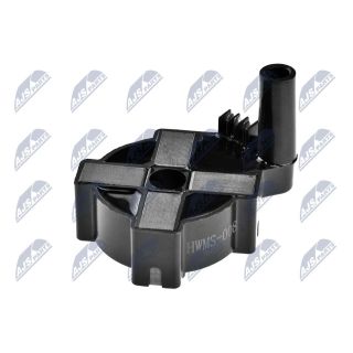 Ritė, uždegimas NTY ECZ-MS-008