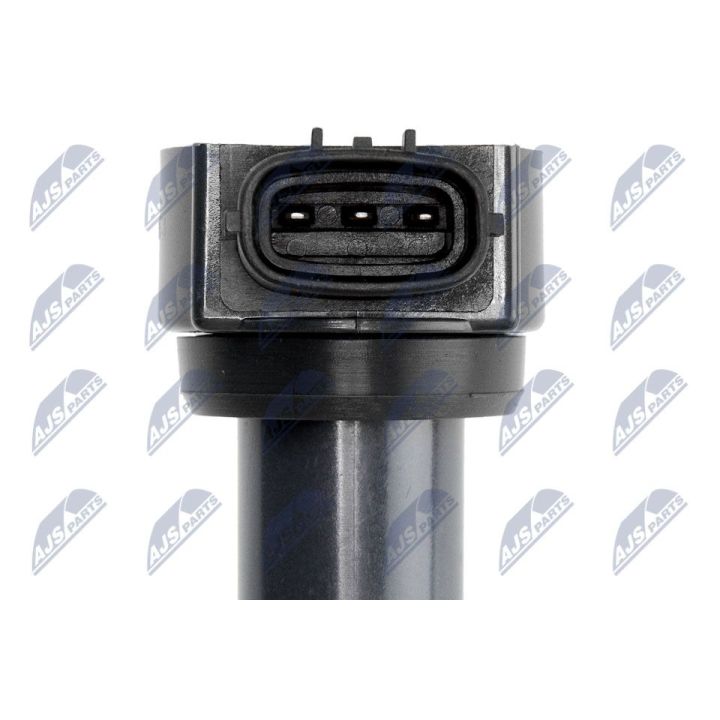 Ritė, uždegimas NTY ECZ-MS-013