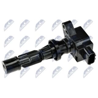 Ritė, uždegimas NTY ECZ-MZ-002