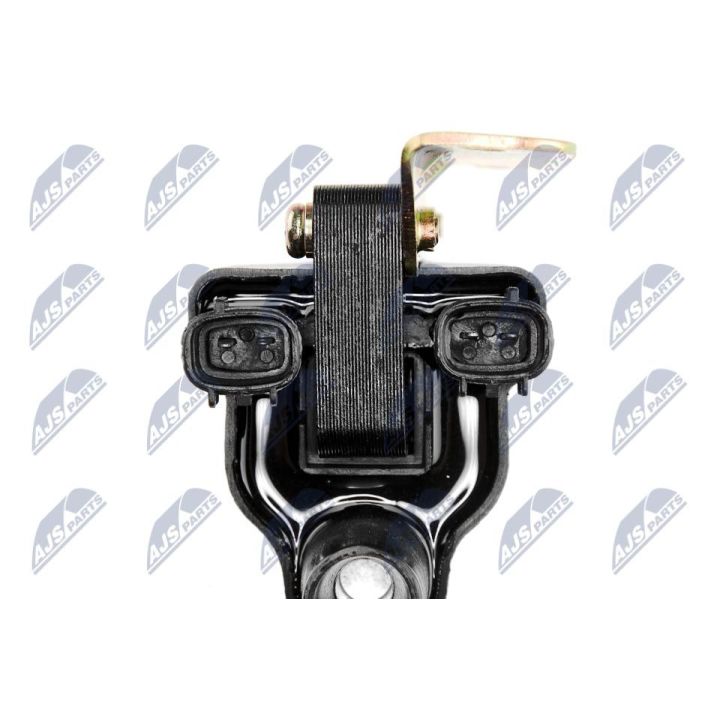 Ritė, uždegimas NTY ECZ-MZ-004