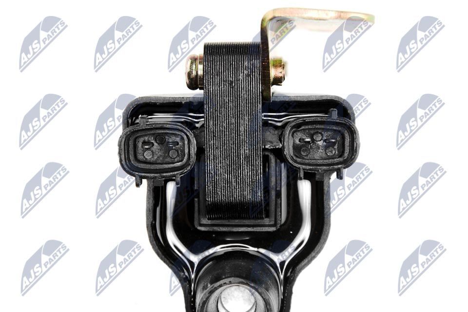 Ritė, uždegimas NTY ECZ-MZ-004