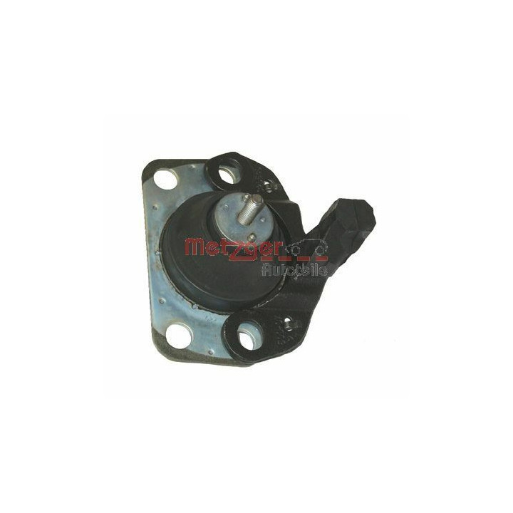 Variklio montavimas METZGER 8050716