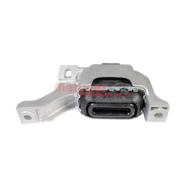 Variklio montavimas METZGER 8053789