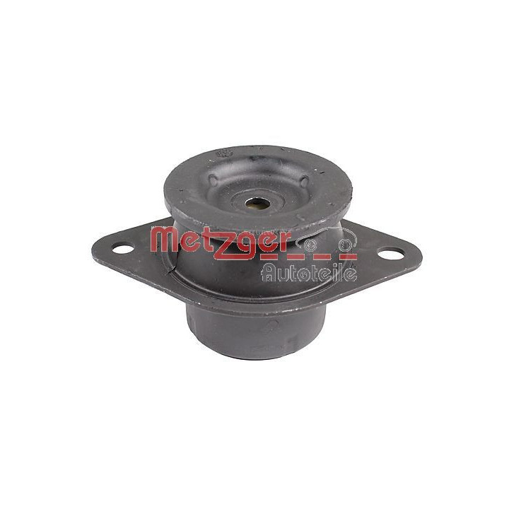 Variklio montavimas METZGER 8053883