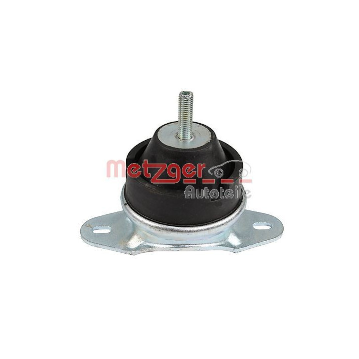 Variklio montavimas METZGER 8053884